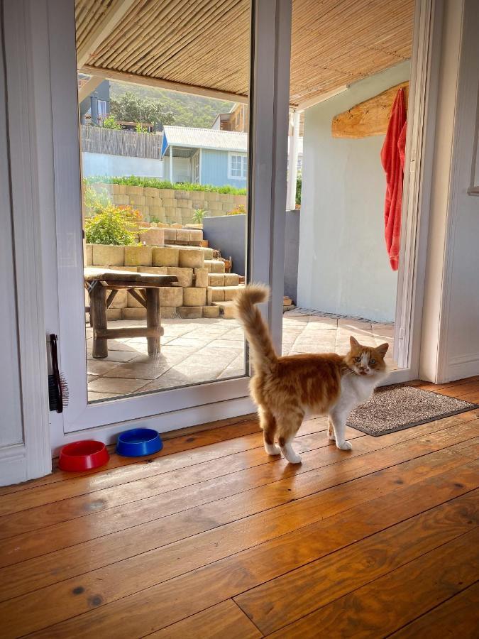 Villa Amanzi Hout Bay Exterior foto